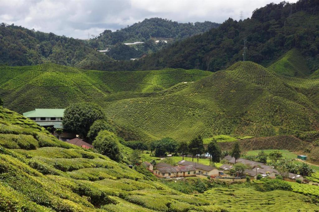 Krs Pines Hotel Cameron Highlands Exterior photo
