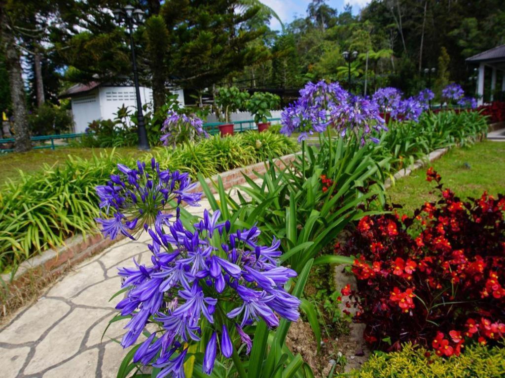 Krs Pines Hotel Cameron Highlands Exterior photo