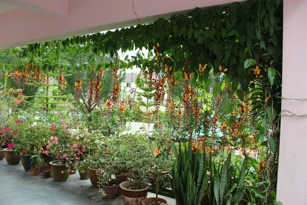Krs Pines Hotel Cameron Highlands Exterior photo